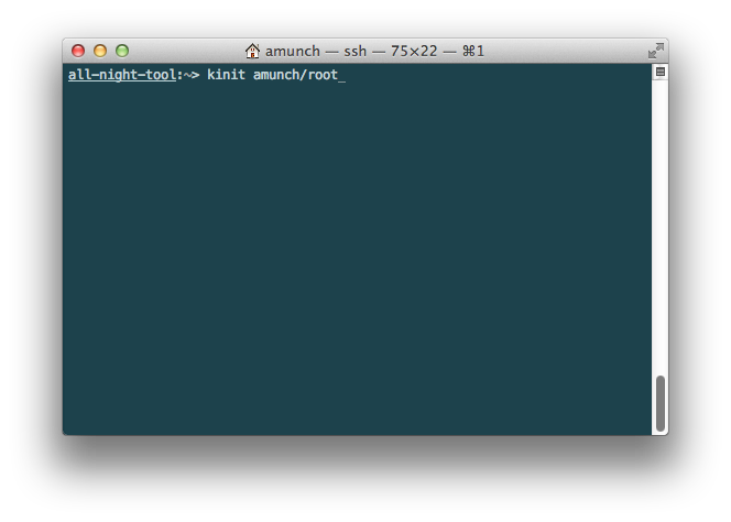 Terminal with command 'kinit amunch/root' entered.