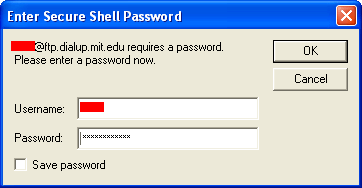 Complete password prompt window