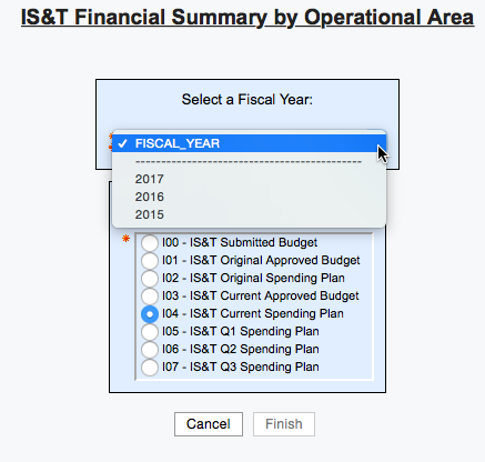 Enter Financial Summary info here