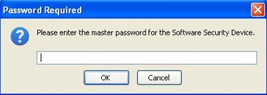 Screenshot of Master Password prompt